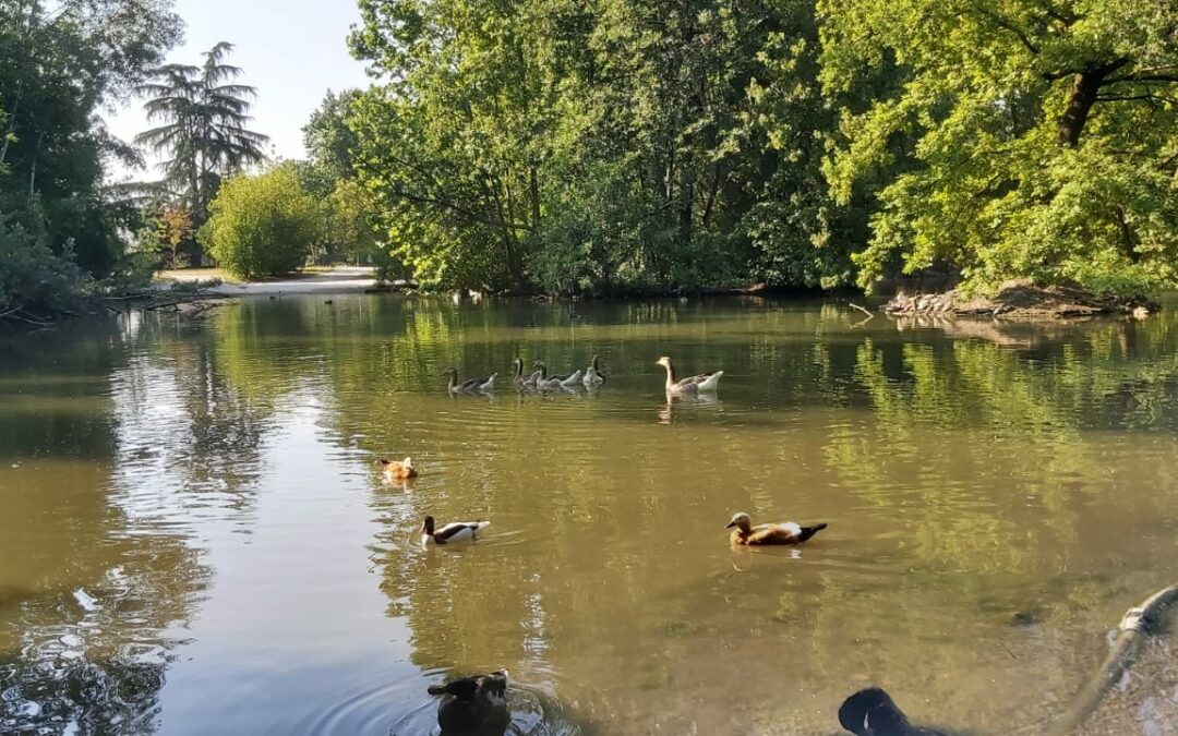 Il polmone verde di Legnano