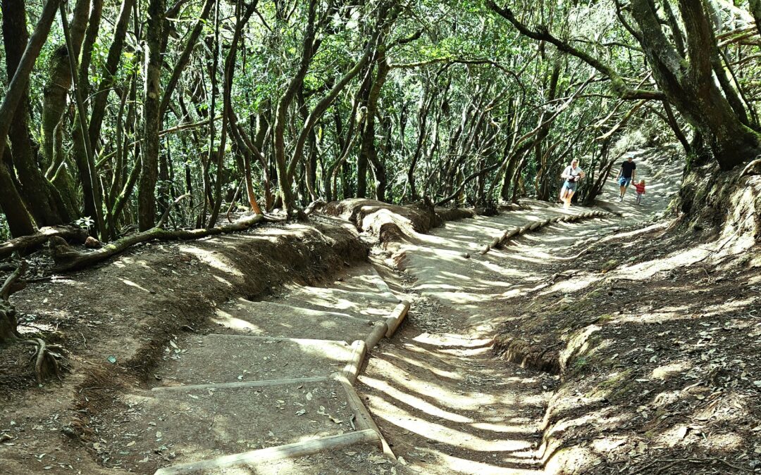 I viaggi di Enzo in Camper. Parco Rurale di Anaga: biodiversità a due passi dalla città…