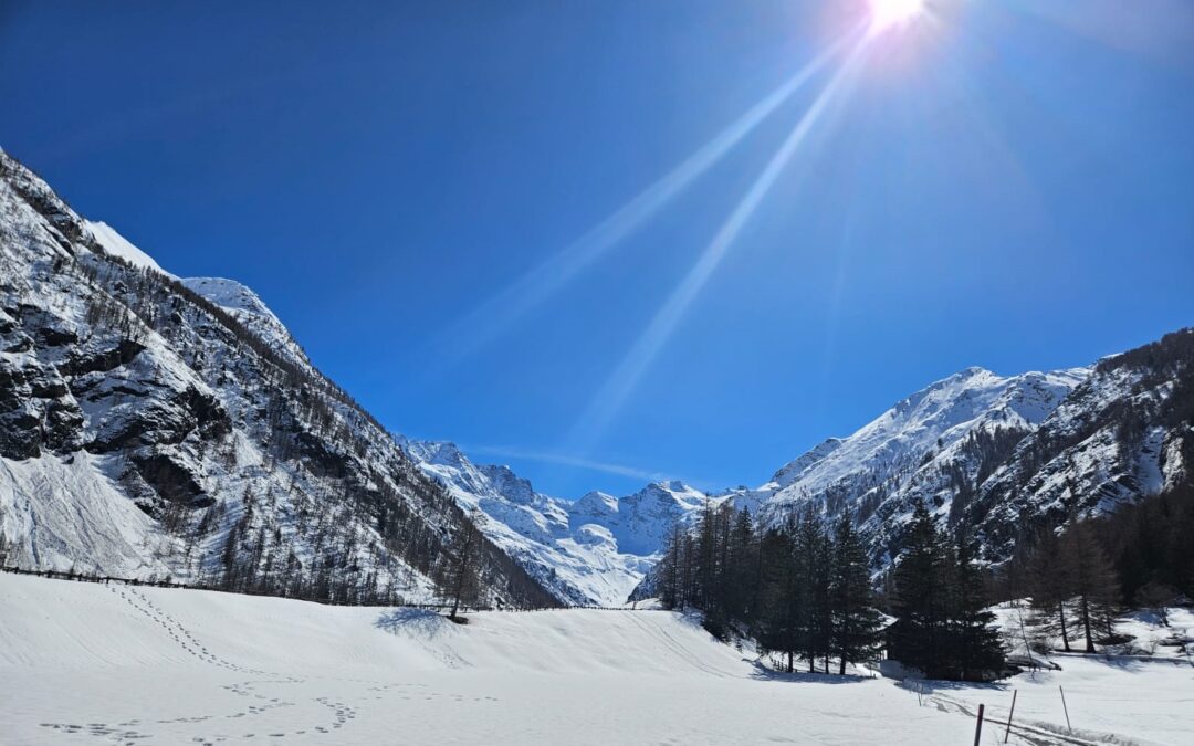 Cogne: una delle perle della Valle d’Aosta